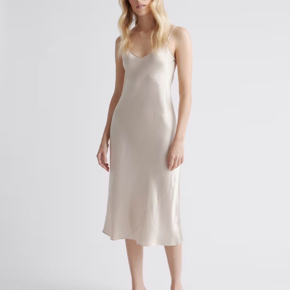 Quince Washable Silk Slip Dress